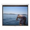 Lightwave Electric Projector Screen 127 by 127