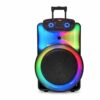 Premier 12 Rechargeable Portable Speaker With Mic