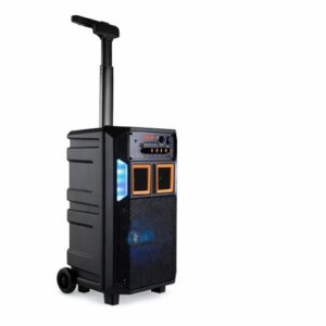 Premier 8 Rechargeable Speaker With Mic
